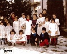 1983 elementari pecorile
