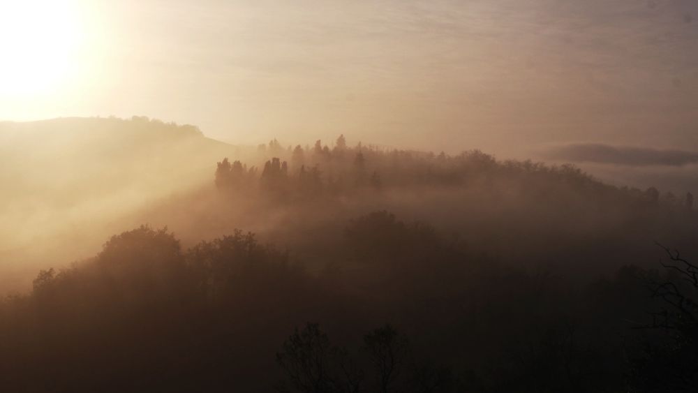 canossa nebbia e sole vezzano