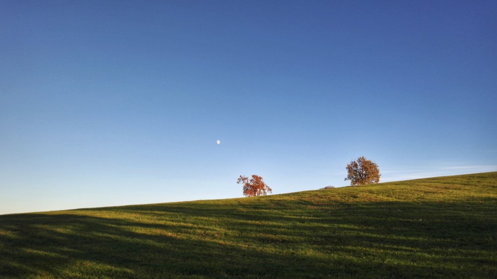 colline di vezzano sul crostolo