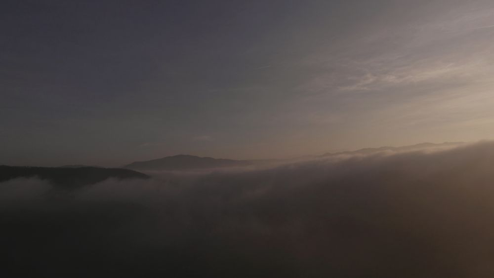 onda nebbia vezzano sul crostolo