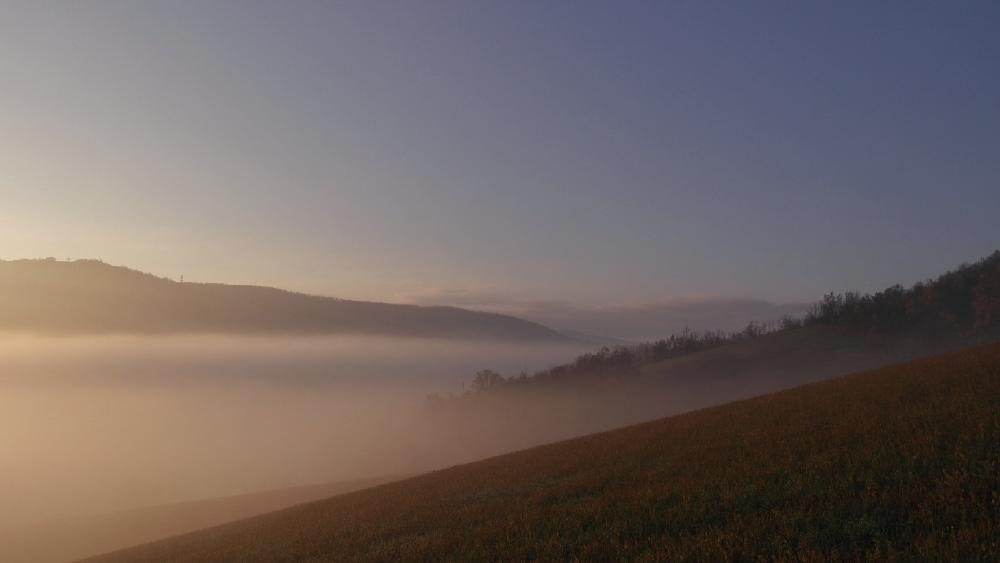 sale la nebbia di primo mattino