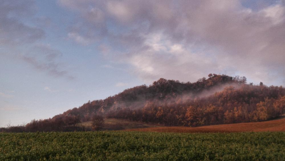 Monte del Gesso vezzano sul Crostolo