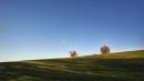 colline di vezzano sul crostolo