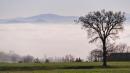 nebbia vezzano sul crostolo