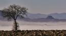 castello di canossa nebbia vezzano