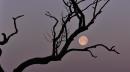 luna vezzano sul crostolo