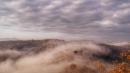 la pineta di vezzano nella nebbia