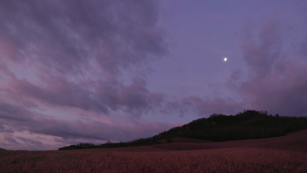 Monte del Gesso Vezzano alba