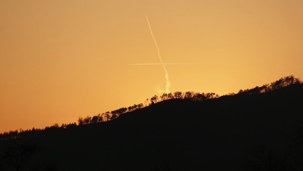 tramonto su pineta Vezzano sul Crostolo