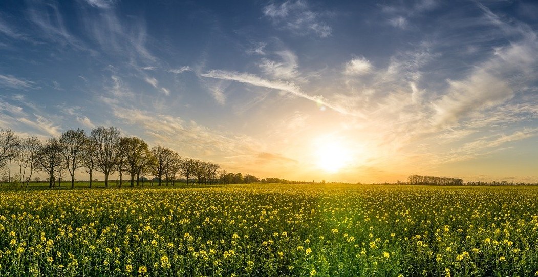 verso il giallo