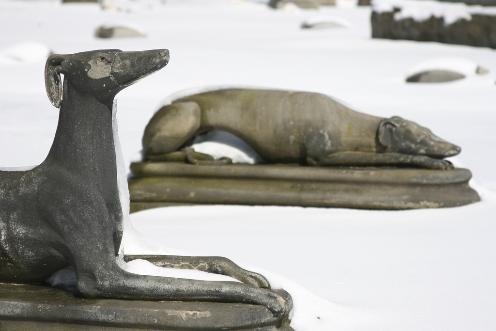 cimitero per cani e gatti a Vezzano foto di Kery Lannert