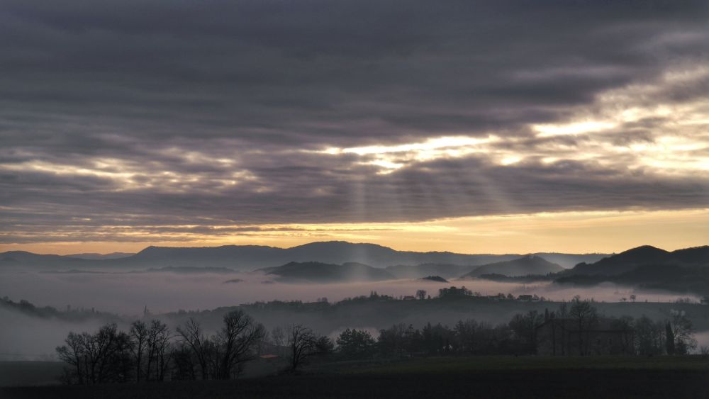 nebbia di natale vezzano sul crostolo