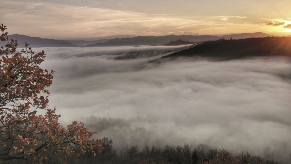 cascate di nebbia a Vezzano sul Crostolo