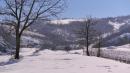 vezzano via vigna con la neve