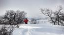 vezzano sul crostolo affondare nella neve