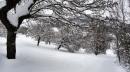alberi neve camp a bignan