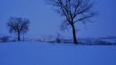 vezzano notturno neve da vigna