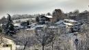 neve le piante vezzano sul crostolo