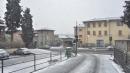 neve vezzano 21 febbraio 2013 ore 8.30