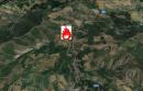 incendio pecorile