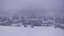 neve vezzano