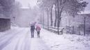 neve vezzano