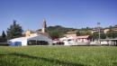 sagra madonna della neve 2019