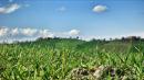 olline di sedrio equinozio primavera