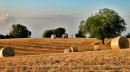 estate vezzano sul crostolo