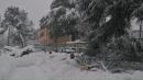 alberi caduti vezzano sul crostolo