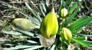 equinozio di primavera 2012