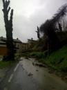 frana casola canossa 2013