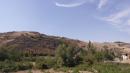 incendio pecorile