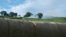 incendio sedrio