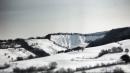 neve sarse
