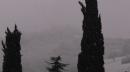 neve merla 2014