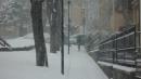 fitta nevicata vezzano sul crostolo