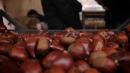 castagne fiera di san martino vezzano